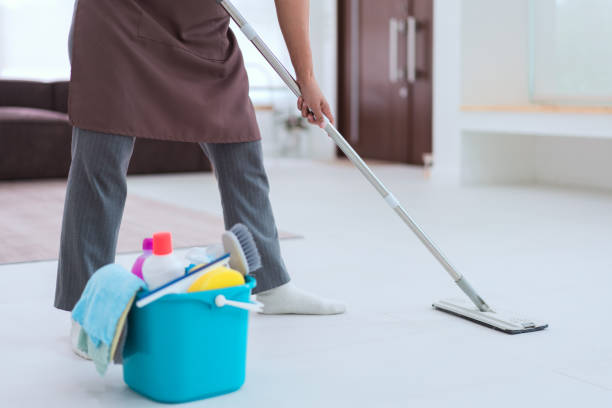 Professional cleaning service